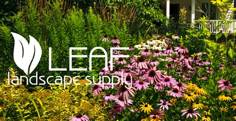 Leaf landscape supply - Shepherd's wholesale plant nursery provides top quality trees, shrubs, perennials and a variety of hard goods for both professional landscapers and homeowners. Located in Mecklenberg County in Huntersville, North Carolina, United States.
